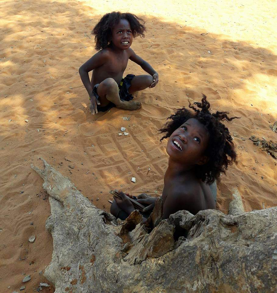 バオバブの木と共に育つ子供達