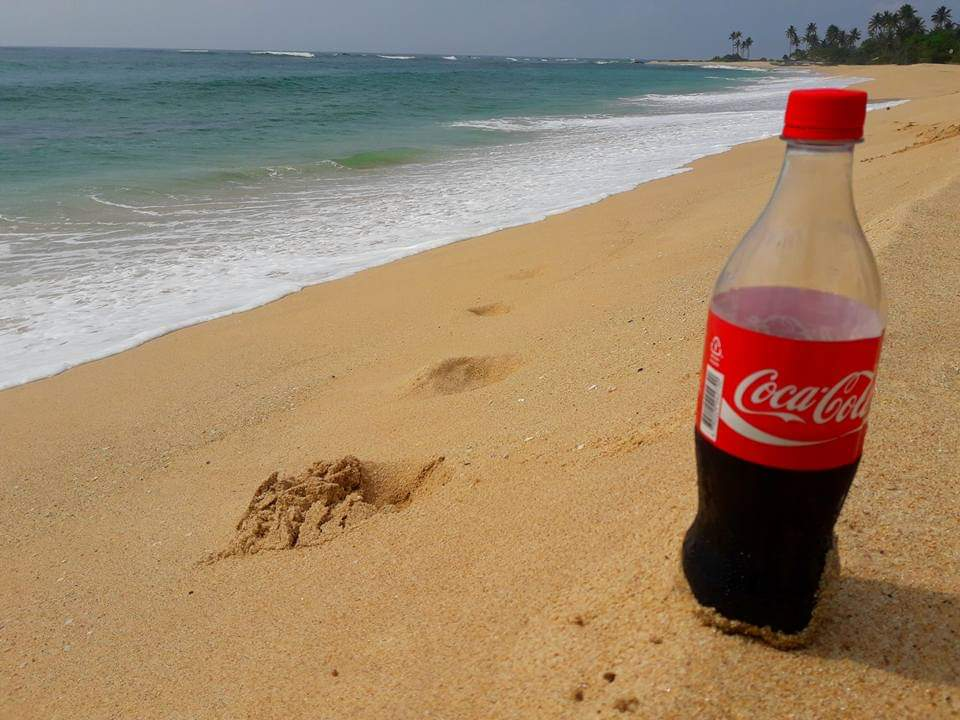 コカ・コーラと海